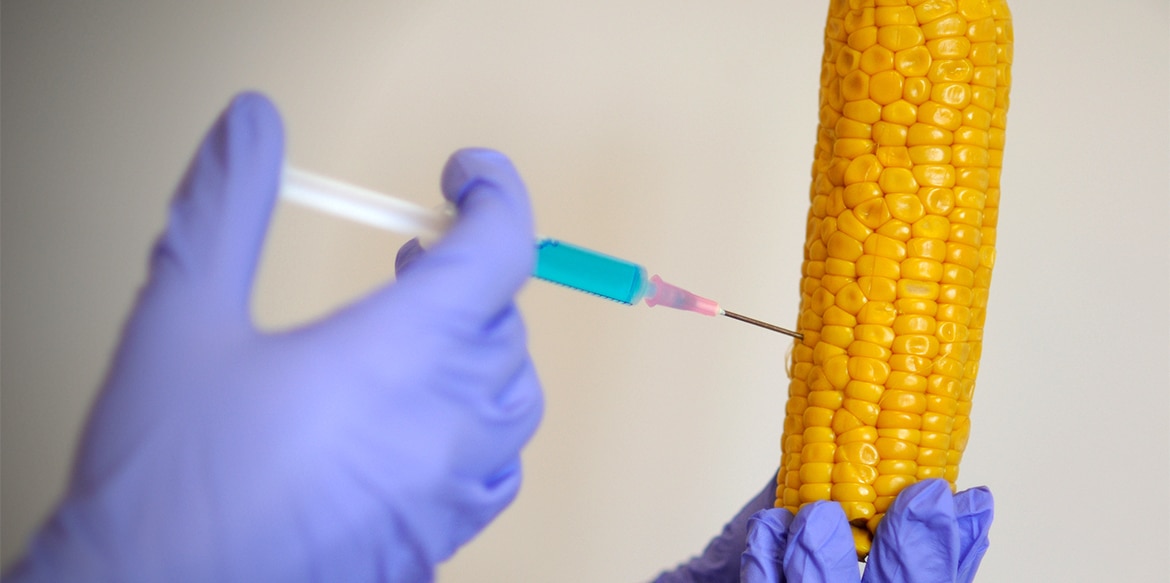 Met gentech is honger niet zomaar de wereld uit