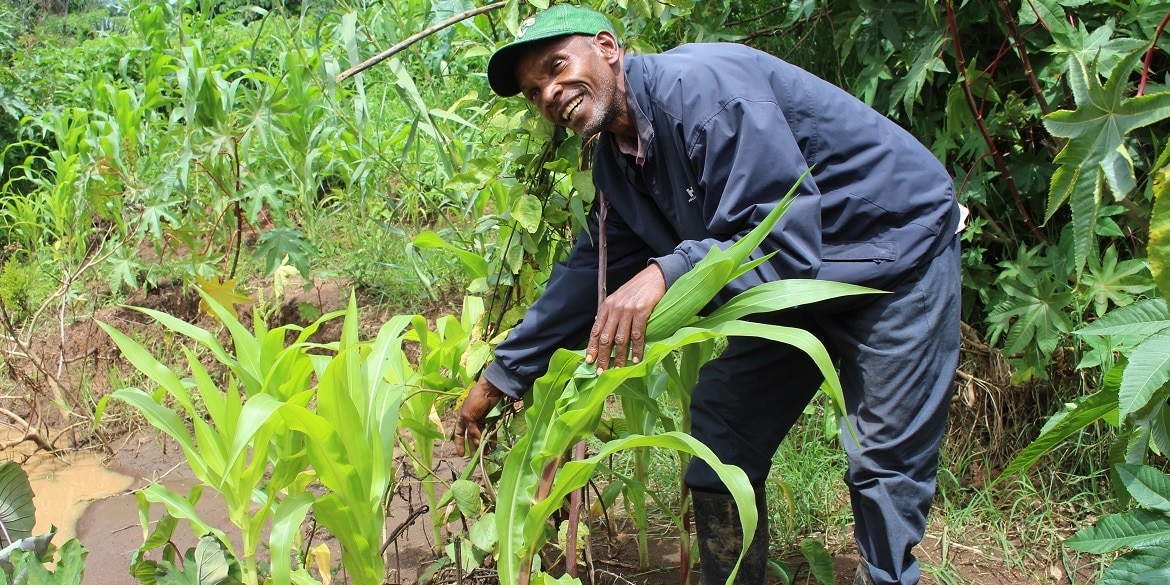 Francis Ngiri: geef boeren hun vrijheid terug - Hivos ...