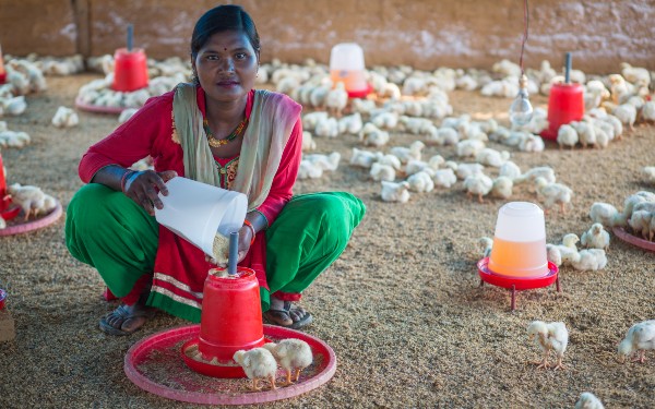 Sunita in Nepal